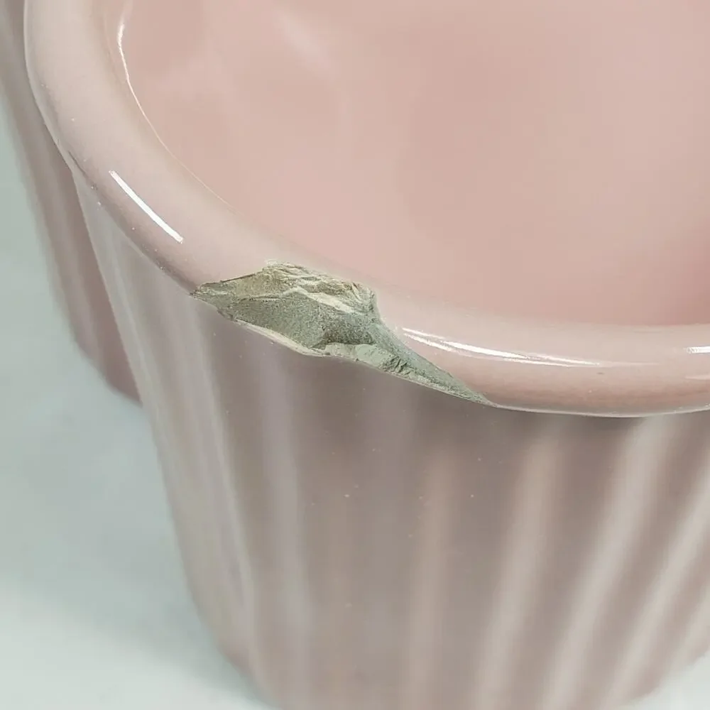 Pink Ceramic Raised Pet Bowl Tilted Elevated Cat Dog Food Water Dish Chip
